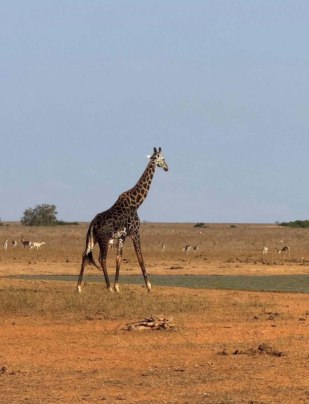 Landschaft im Tsavo Ost Nationalpark