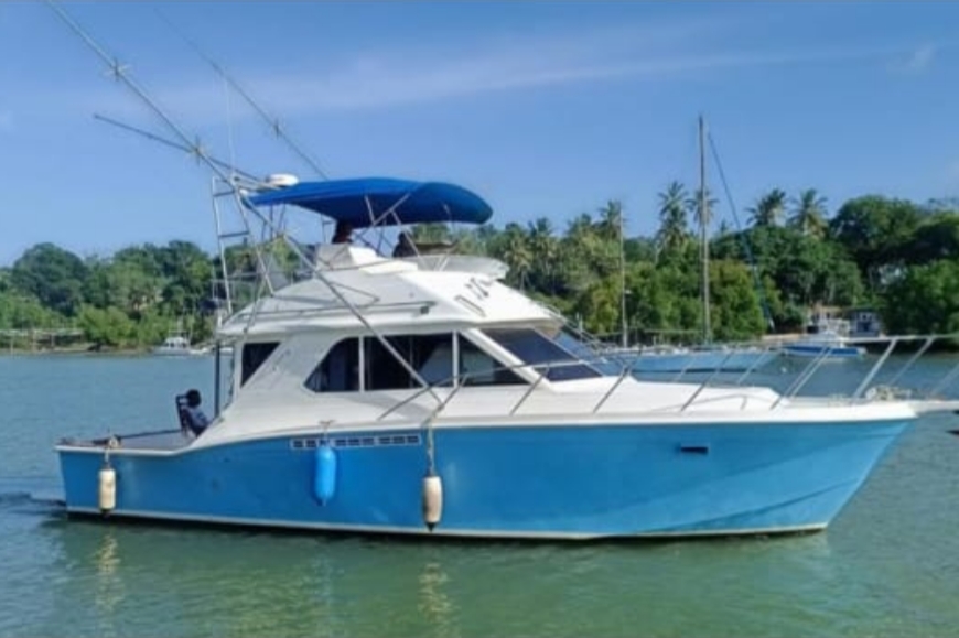 Offshore-Sportfischen Diani Beach 1