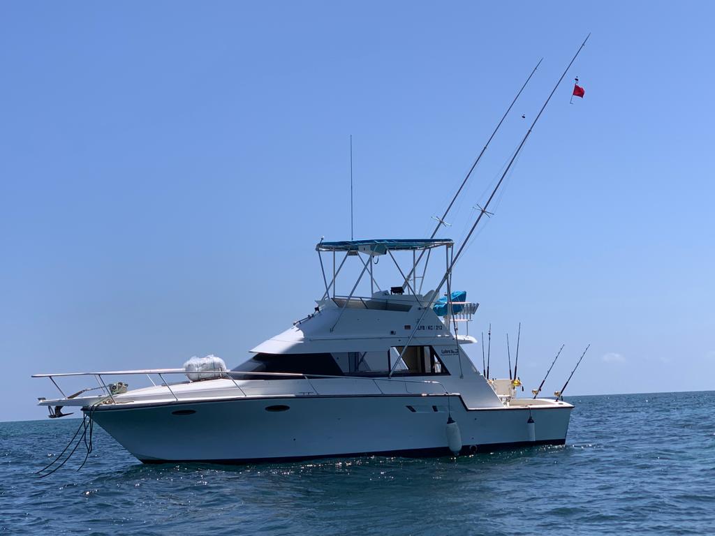 Offshore-Sportfischen Diani Beach 2