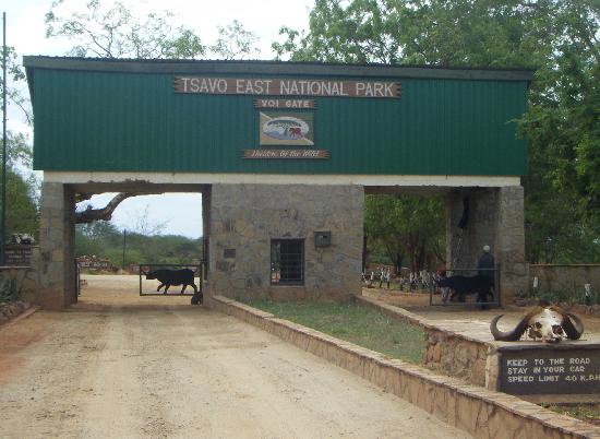 Tsavo National Parks